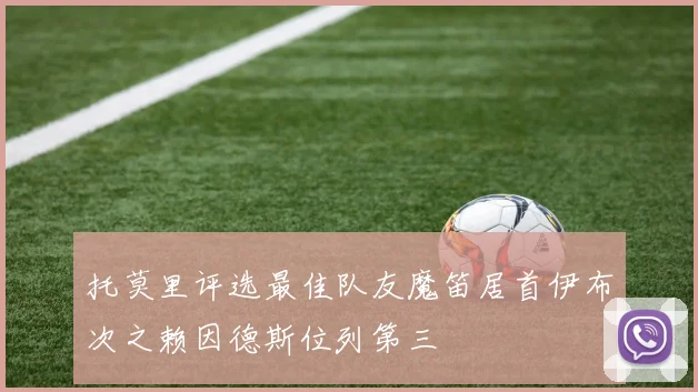 托莫里评选最佳队友魔笛居首伊布次之赖因德斯位列第三