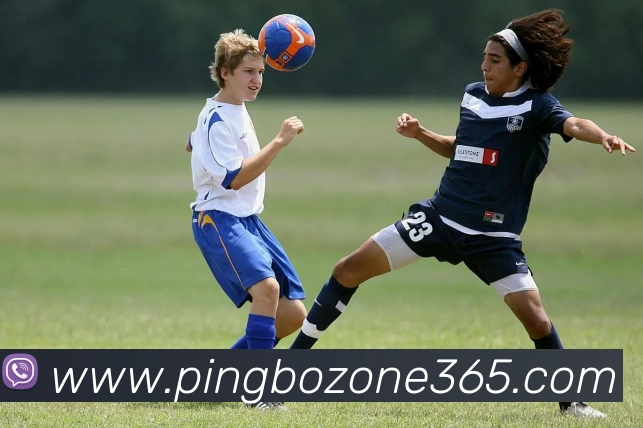 平博PINGBOAPP 封面图